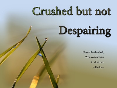 Crushed But Not Despairing